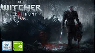 The Witcher 3: Wild Hunt 7 Minutes of Gameplay on Low-End Laptop i3 and GeForce 940MX