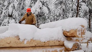 Build a handmade wooden house in a heavy snowfall forest  50 °C l Life The Jungle