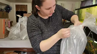 4 boxes of fish unboxing