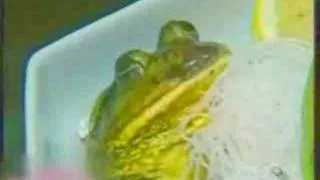 man eating a living frog and his beating heart