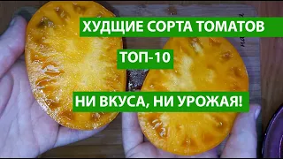 ХУДШИЕ сорта ТОМАТОВ, которые я больше НИКОГДА НЕ ПОСАЖУ! Вкуса НЕТ, урожая нет!