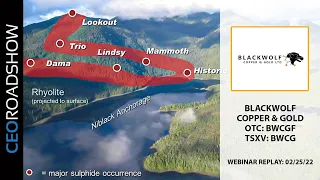 CEORoadshow Webinar Replay: Blackwolf Copper and Gold (OTC: BWCGF) (TSXV:BWCG) February 25, 2022