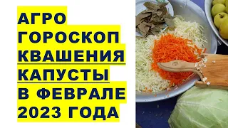 Агрогороскоп квашения капусты в феврале 2023 года. Агрогороскоп квашення капусти в лютому 2023 року