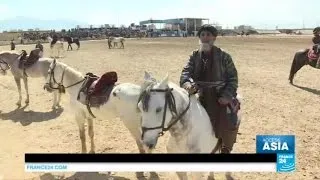 Meeting Buzkashi players: Afghanistan's centuries-old sporting tradition