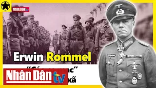 Erwin Rommel –  Cáo sa mạc  Đức quốc xã ngôi sao vượt lên vũng bùn phát xít | Người nổi tiếng