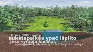 Kaip atsirado Čepkelių aukštapelkė? The origin of Čepkeliai wetland