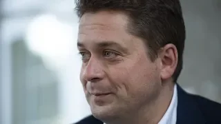 Is Scheer hurting the Conservative party staying on as leader?