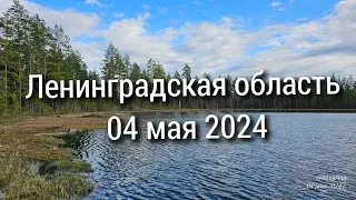 04 мая 2024 по тропе Лосей