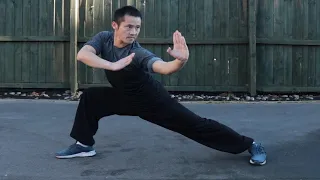 Shaolin Kung Fu Wushu Kicks & Flying Kicks Training