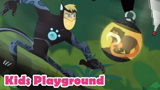 WILD KRATTS - AMAZIN AMAZON ADVENTURE - братья кратт