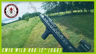 Airsoft: Backyard Training CM16 WILD HOG 12" (G&G)