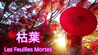 Raymond Lefèvre _ 枯葉 _ Les Feuilles Mortes _ レイモン・ルフェーヴル