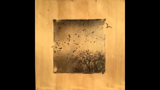 Polaroid experimental emulsion lift on wood