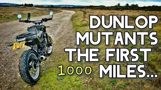 Dunlop Mutants 1000 mile Report #svartpilen401