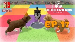 LITTLE FRIENDS: Dogs & Cats - Gare e Coupon | EP.17 [ITA]