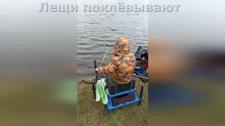 Ловим лещей на фидер в Волхове. Рыбалка в Ленинградской области