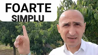 Cum am scăpat de grauri la livada de cireși ! METODE INGENIOASE