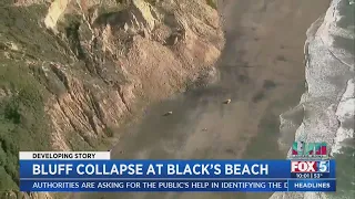 Bluff Collapse At Black's Beach