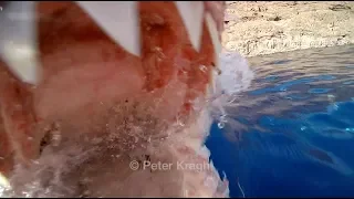 Great White Shark surprises cameraman, part 1, no cameramen were harmed in the making of this....