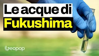 È iniziato lo sversamento in mare dell'acqua di Fukushima: è davvero radioattiva? Facciamo chiarezza