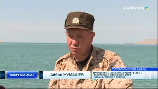 Акция "Осетр - 2019"