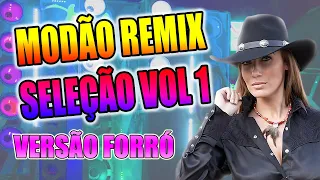 SO MODÃO REMIX SELEÇÃO VOL 1 VERSÃO FORRÓ