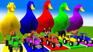 5 Giant Duck, Monkey, Piglet, chicken, dog, elephant, cow, Sheep, Transfiguration funny animal 2024