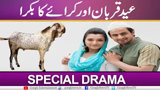 Urdu Drama "Eid-E-Qurban Aur Karay Ka Bakra" | Googly Entertainment