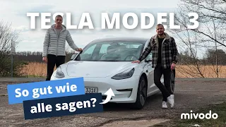 Tesla Model 3 Long Range (2023) Test - Wirklich das beste E-Auto?