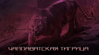 Кошка убийца из древности