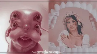 ☆ glued x developing • melanie martinez (snippet mashup) ☆