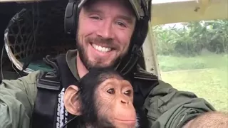 Her redder de baby-sjimpansen