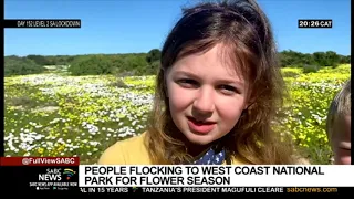 People flock to West Coast National Park for the wildflower season