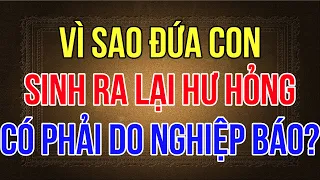 Vì sao đứa con sinh ra lại hư hỏng? có phải do nghiệp báo kiếp trước?