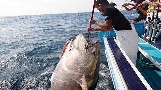 Amazing Gian Tuna Fishing longline Handline videos - Fisherman Big Catch Fishing on the sea