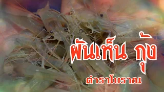 ฝันเห็นกุ้ง  ฝันว่าได้จับกุ้ง ตำราโบราณ