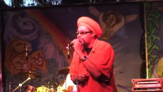 Brigadier Jerry at Sierra Nevada World Music Festival June 17, 2011 whole show Village Stage