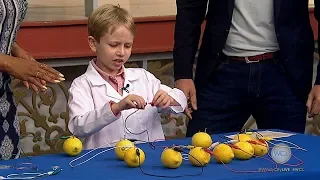 Nate Butkus, 8-year-old science whiz, uses lemons for electrifying experiment