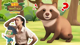 Tanuki 🦝 | Leo Si Penjaga Alam | #minisode