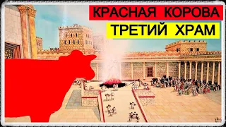 Красная Корова - Третий Храм