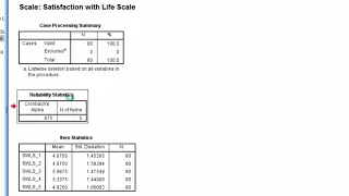 Coefficient Alpha - SPSS; Reliability; Cronbach's Alpha; Internal Consistency