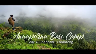 Annapurna Basecamp day 4 : Tadapani - Chomrong