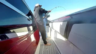 Deep sea fishing Nortech 450 Sport (Thunderstruck)