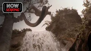 Anaconda | Chasing Waterfalls