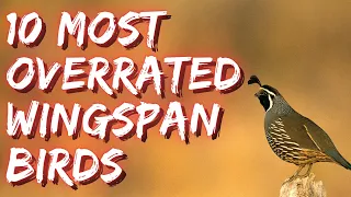 10 Most Overrated Birds in Wingspan! ft. Wingin' It