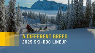 The 2025 Ski-Doo Lineup is Here