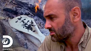 "Esto es lo más asqueroso que he comido" | Desolado con Ed Stafford | Discovery en Español