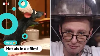 Deze rat kan ratatouille (een Frans gerecht) maken