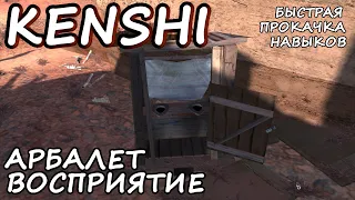 KENSHI ► КАК ПРОКАЧАТЬ АРБАЛЕТ, ВОСПРИЯТИЕ И ТОЧНОСТЬ (v1.0.55)