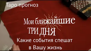 Таро прогноз. Мои ближайшие ТРИ дня. Какие перемены на пороге./Гадание онлайн/#ТианаТаро